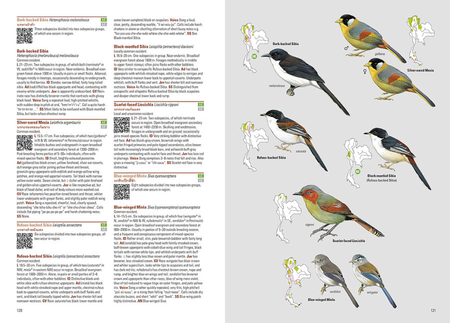 Aves de Tailandia página de muestra